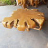 Meja Tamu Akar Blora Solid Wood Natural Color BA-60 3 Meja Tamu Akar Blora Solid Wood Natural Color BA-60
