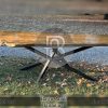 Meja Trembesi Solid Original Live Edge Industrial Design BA-734